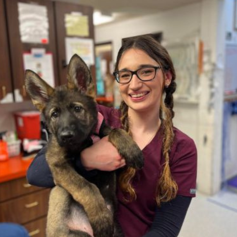 VetCor Community Connections Vet Assistants Valentines Day